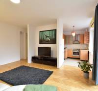 Living room with a TV and a kitchenette in a 2-room apartment with wooden flooring.