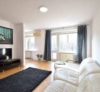 A bright living room with a white couch, black rug, and large windows in a two-room apartment.