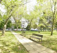 Park in Bratislava - Ružinov, Smolnícka, trees, benches and a walkway, atmosphere of relaxation.