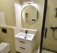 Bathroom in a 2-room apartment with a sink, mirror, and shower.