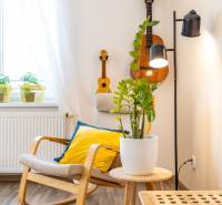 Interior of a family house with an armchair, musical instruments, and a houseplant on the table.