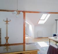 A living room in a two-room apartment with a skylight, an armchair, and a wooden coat rack.