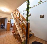 Interior of a family house with wooden stairs and entrances to multiple rooms.