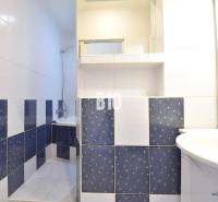 Bathroom with blue and white tiles and a shower in a 4-room apartment.
