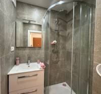 Bathroom with a corner shower and a sink in a 3-room apartment.
