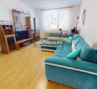 Living room in a 3-room apartment with wooden flooring and a turquoise sofa.