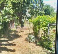 A cozy garden of a family house in Potzneusiedl with lush vegetation and trees.