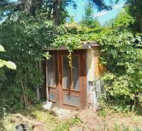 An overgrown garden with a small cottage near a family house in Potzneusiedl.