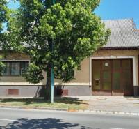 A family house in Potzneusiedl with a large gate and a deciduous tree in front of it.