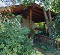 Overgrown terrace of a family house in Potzneusiedl surrounded by trees and greenery.