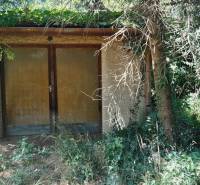 An overgrown garden at a family house in Potzneusiedl, with dense vegetation and wooden doors.