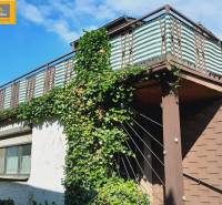 A family house in Hundsheim with a terrace surrounded by greenery and climbing plants.