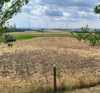 View from Hundsheim: a field surrounded by trees and wind turbines in the distance.