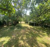 The garden of a family house in Hundsheim with many trees and a green lawn.