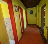 A hallway in a family house with bright yellow walls and red doors.