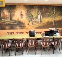 Eleven chairs and a table in a dining area with a forest mural on the wall.