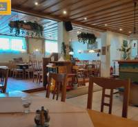 The interior of the gastro spaces with wooden furniture and greenery creates a pleasant atmosphere.