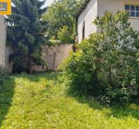 Garden in Grossinzersdorf with a grassy area and shrubs by the walls of the gastro premises.