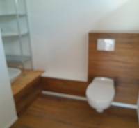 Bathroom with toilet and wooden paneling in commercial premises.