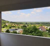 View from the villa of greenery and the city of Hainburg an der Donau in the distance.
