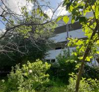 A villa in Hainburg an der Donau surrounded by greenery and trees under a blue sky.