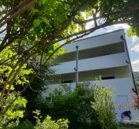 A villa in Hainburg an der Donau surrounded by greenery and trees.