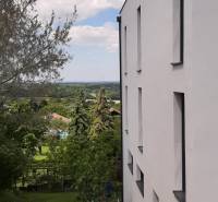 The white facade of the villa in Hainburg an der Donau overlooking the garden and trees.