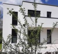 A villa in Hainburg an der Donau with a minimalist facade and surroundings full of greenery.