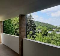 View from the villa terrace of the greenery and surrounding nature in Hainburg an der Donau.