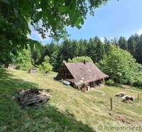 A cabin in Zákopčie surrounded by forests, with wooden structures and a fire pit on a grassy meadow.