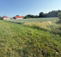 Grassy plots for living in Bojná; houses, fields, and a road next to the forest.