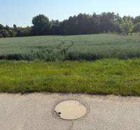Greenery and fields surrounded by trees, ideal for plots - living in Bojná.