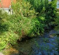 The garden of the cottage in Tužina with a stream and lush vegetation.