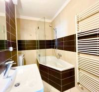 Bathroom with a shower, sink, and ladder radiator, equipment in a 2-room apartment.