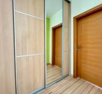 Wooden door and built-in wardrobe with mirror in a 2-room apartment.
