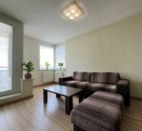 A living room in a two-room apartment with a dark brown sofa and houseplants by the windows.
