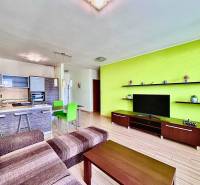 Living room with a kitchenette, contrasting green walls, dark wood furniture.