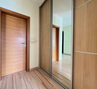 Entrance hall with wooden doors and a built-in wardrobe in a 2-room apartment.