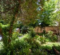 A garden full of greenery with a wooden house by a 3-room apartment, surrounded by trees.