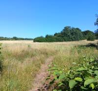 Lands - housing in Prievidza with greenery and a meadow path under the blue sky.