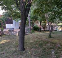 A garden with a lawn and trees at a family house in Vrsi, surrounded by greenery and shrubs.