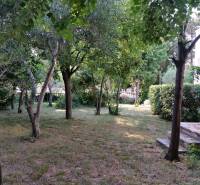 The garden of a family house in Vrsi with dense vegetation and lawn.