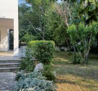 A family house in Vrsi with a spacious garden, surrounded by many trees and greenery.