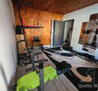 A gym in a family house with equipment, mirrors, and dumbbells on the carpet.