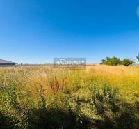 Plots - housing in Horná Krupá with tall grass and a clear blue sky.