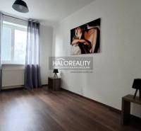 Living room in a two-room apartment with a painting on the wall and curtains.
