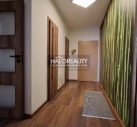 A hallway in a 2-room apartment with a wooden floor and wallpaper with a bamboo motif.