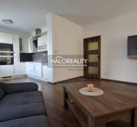 Living space in a 2-room apartment with a modern kitchen and a comfortable sofa.