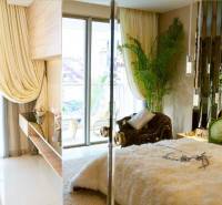 Bright living room in a studio apartment with curtains and a plant.