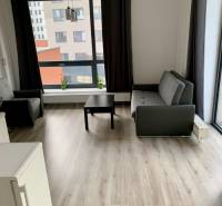 Living room in a two-room apartment with two sofas and a large window.